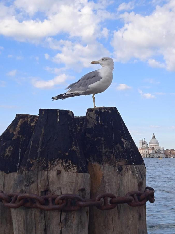 Appartamento Campo Ruga 314 Venesia Bagian luar foto